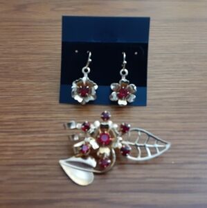 Earrings and Pin Set